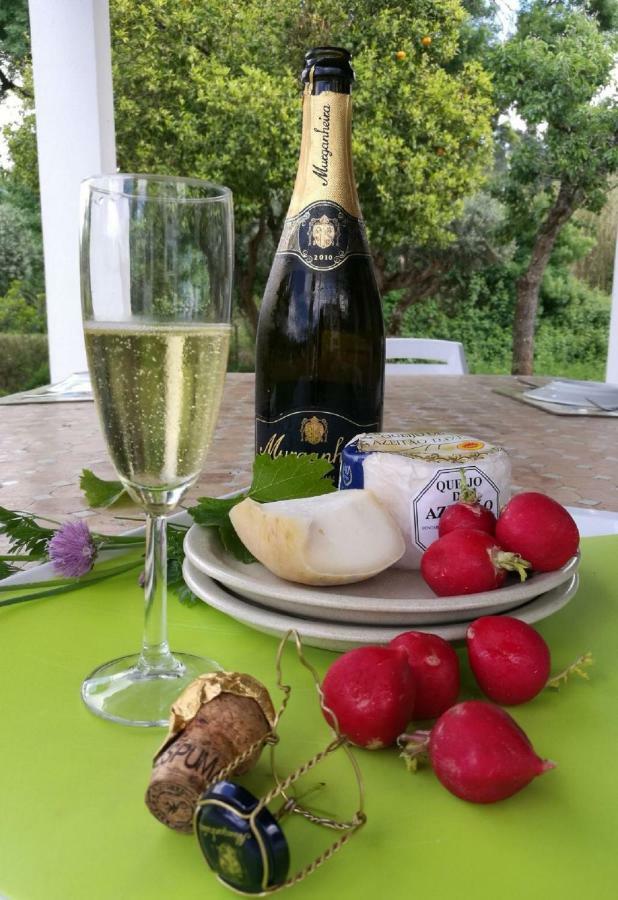 Quinta Villa Arrabida Vila Fresca Ngoại thất bức ảnh